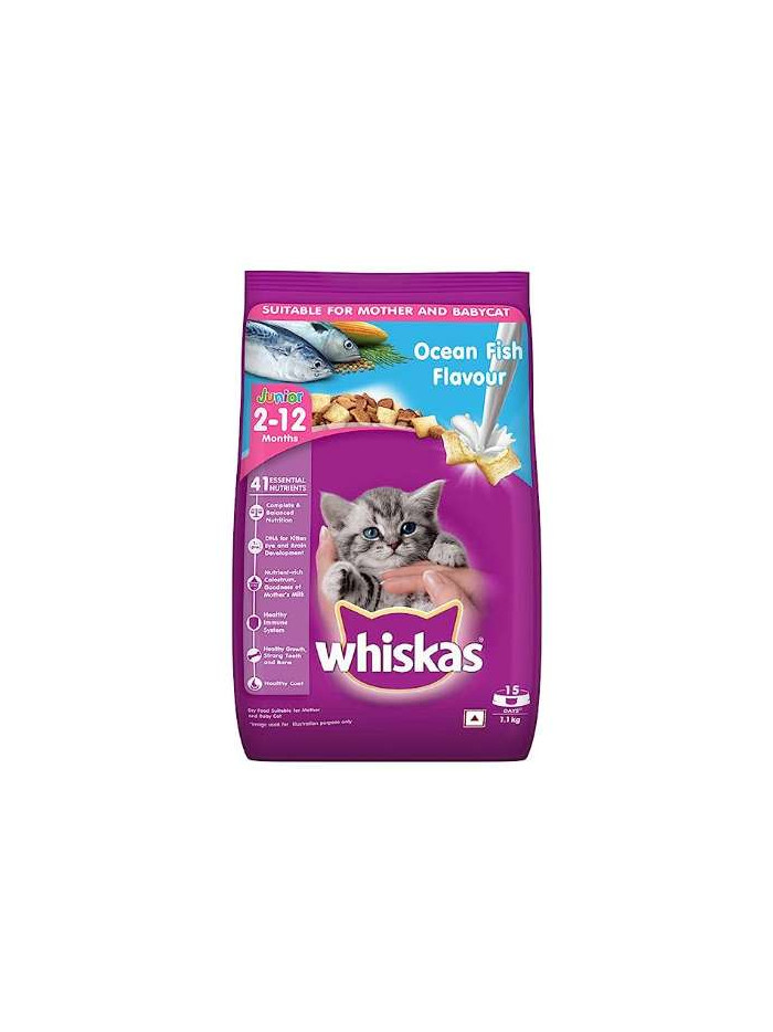 Whiskas Junior Ocean Fish 1.1 KG - Dry Food