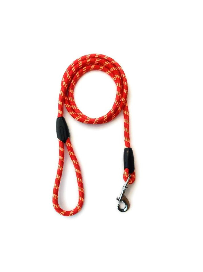 Indraneel Pets Nylon Collar And Leash 1.5 Inch