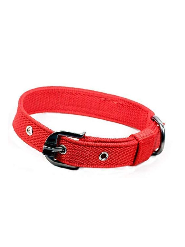 Indraneel Pets Nylon Leash Imp 1.25 Inch