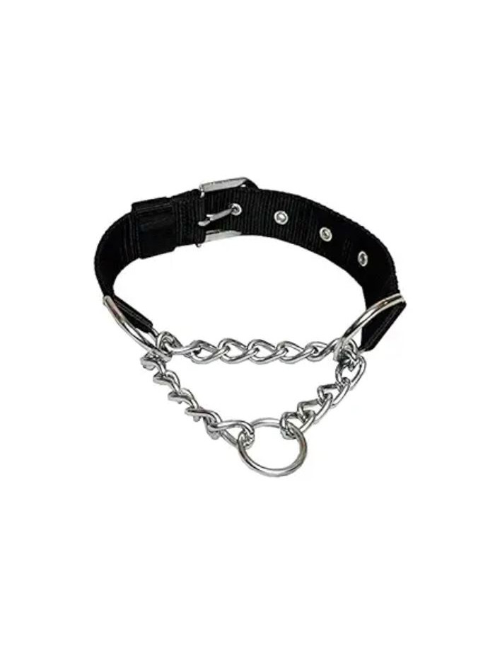 Indraneel Pets Fdy Choke Collar 0.5 Inch