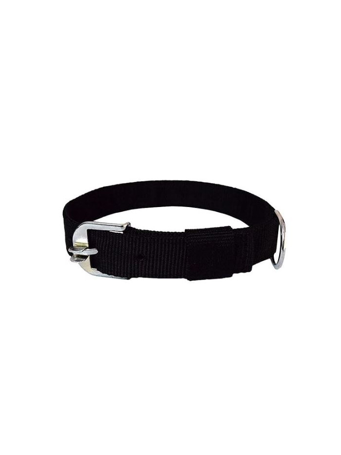 Indraneel Pets Nylon Collar Imp 1.25 Inch