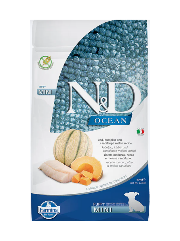 N&D Ocean COD ,Pumpkin &  Cantalope malon Puppy mini 800g